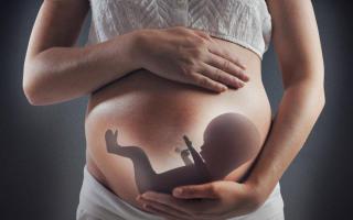 Кто в животике живет? Народные приметы. Почему острый живот при беременности. Кто будет — мальчик или девочка, если острая форма живота во время беременности
